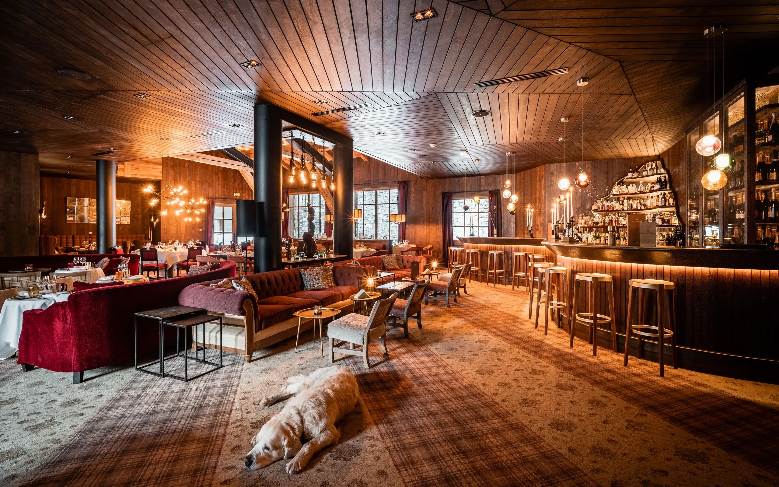 Lounge confortable avec bar et chien endormi.